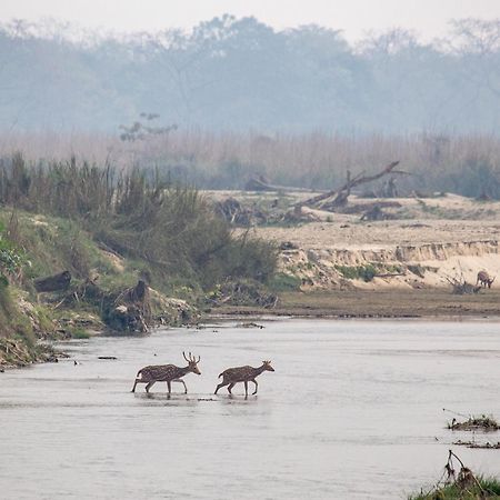 Sanctuary Chitwan National Park Ξενοδοχείο Εξωτερικό φωτογραφία