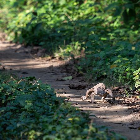 Sanctuary Chitwan National Park Ξενοδοχείο Εξωτερικό φωτογραφία