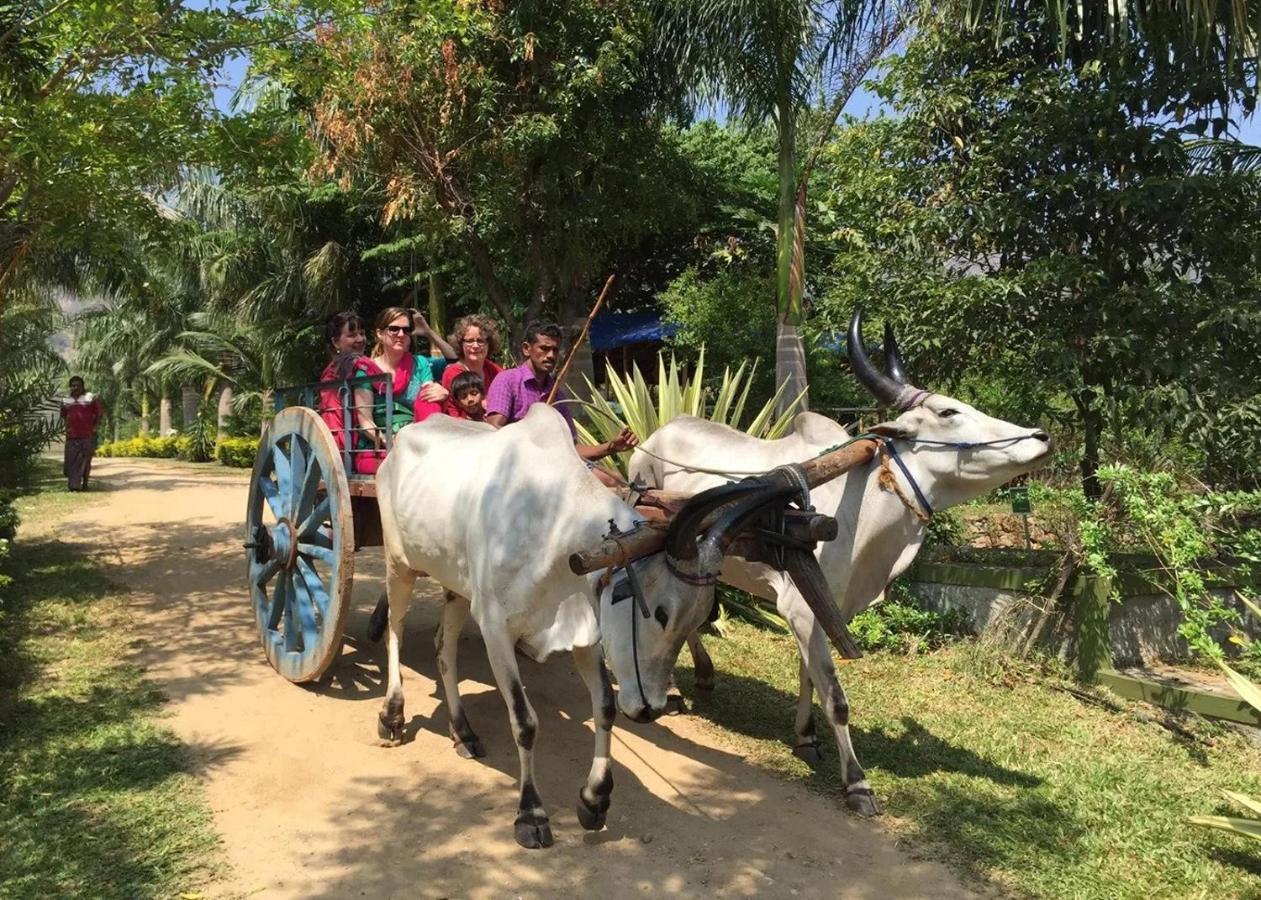 Sanctuary Chitwan National Park Ξενοδοχείο Εξωτερικό φωτογραφία