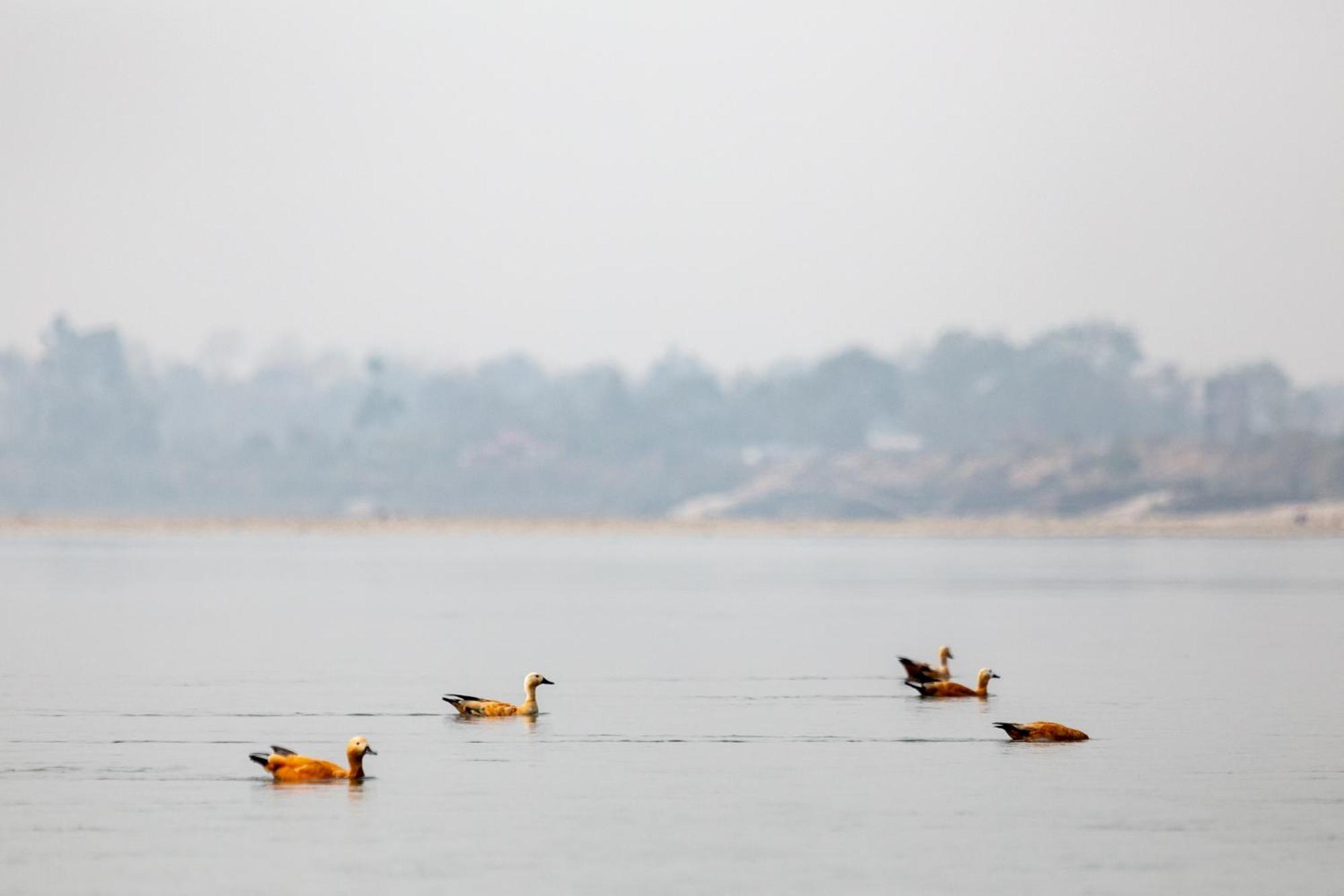 Sanctuary Chitwan National Park Ξενοδοχείο Εξωτερικό φωτογραφία