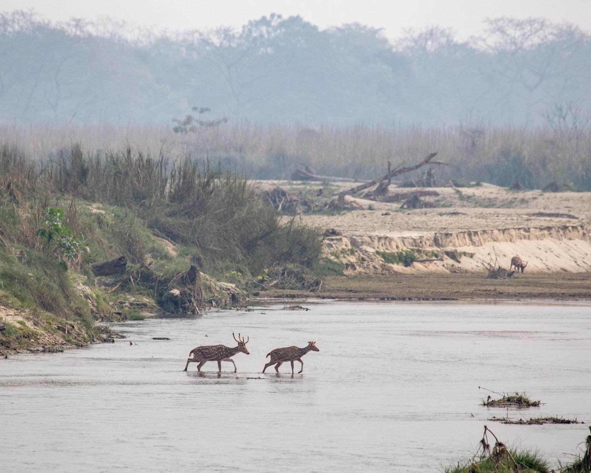 Sanctuary Chitwan National Park Ξενοδοχείο Εξωτερικό φωτογραφία