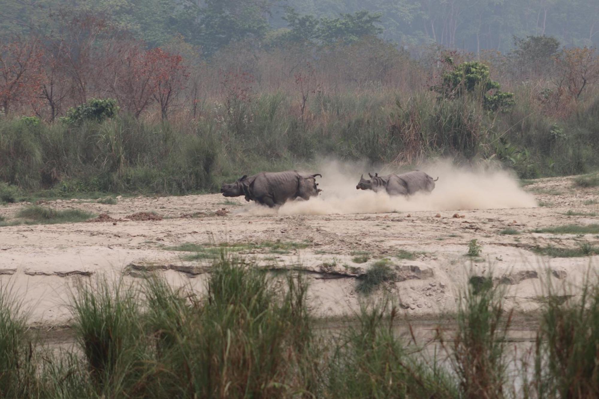 Sanctuary Chitwan National Park Εξωτερικό φωτογραφία