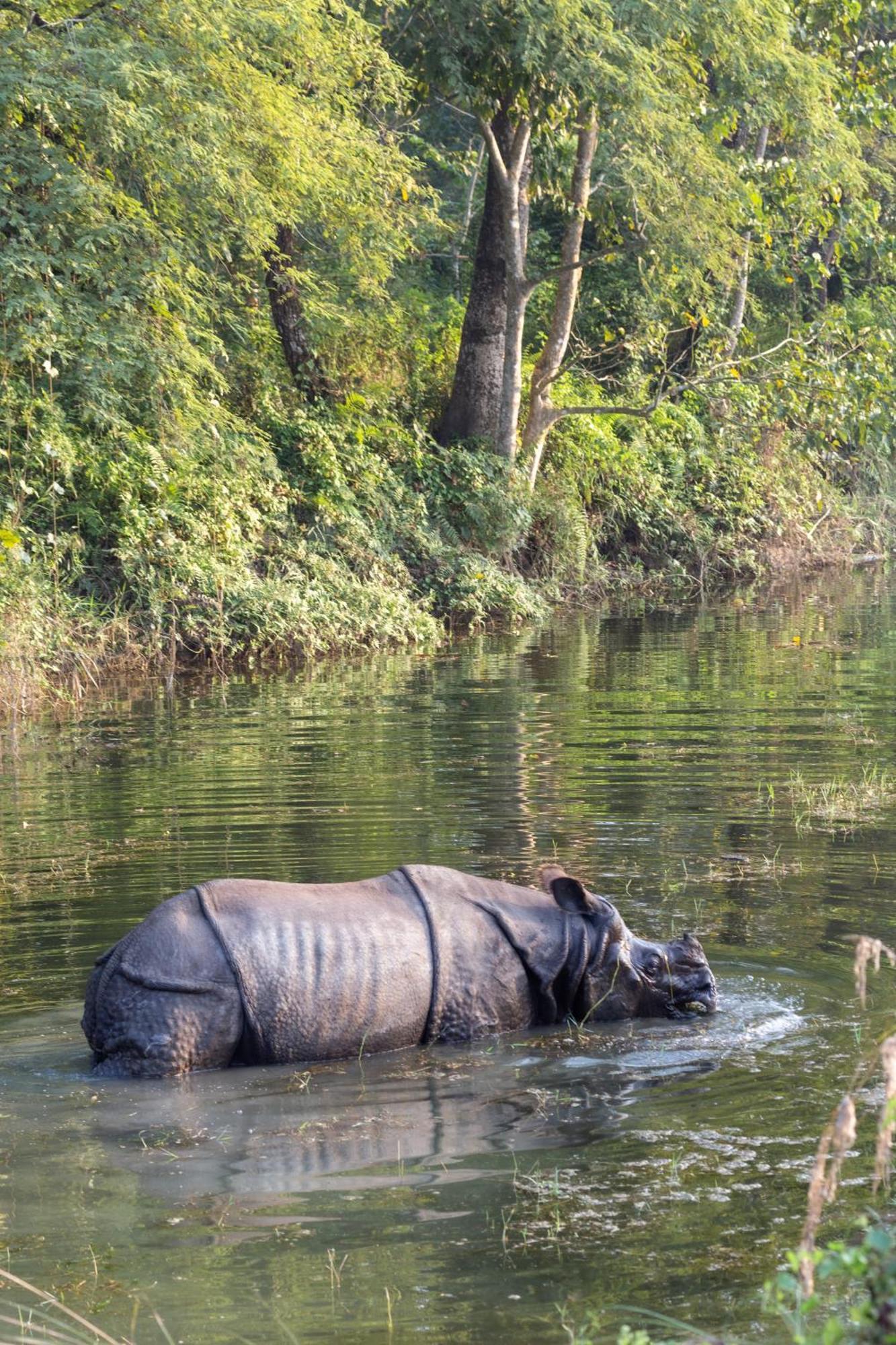 Sanctuary Chitwan National Park Ξενοδοχείο Εξωτερικό φωτογραφία