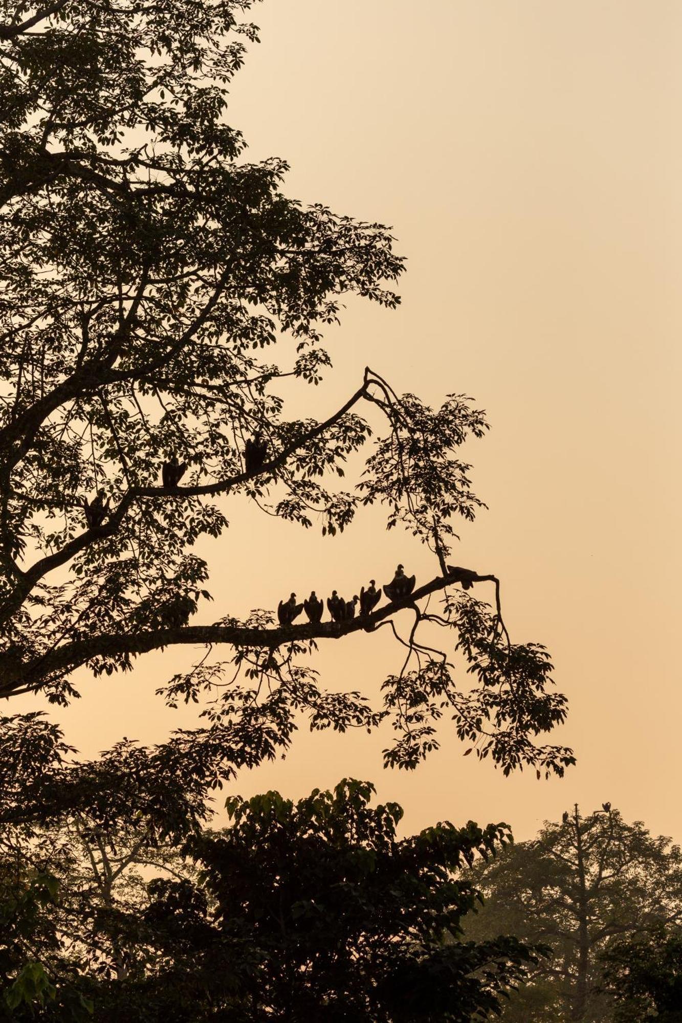 Sanctuary Chitwan National Park Εξωτερικό φωτογραφία